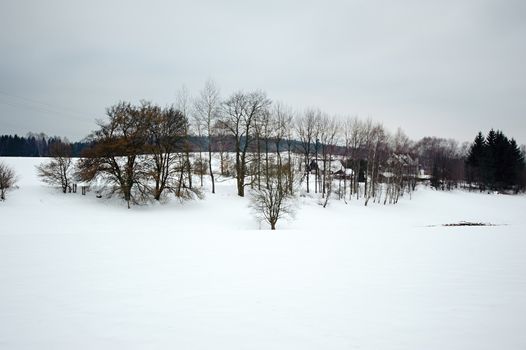 Winter frosty snowy landscape with trees and cloudy sky