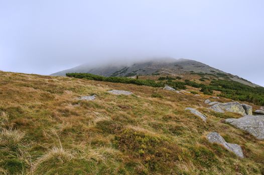 View of the rocky landscape of the Krkonose