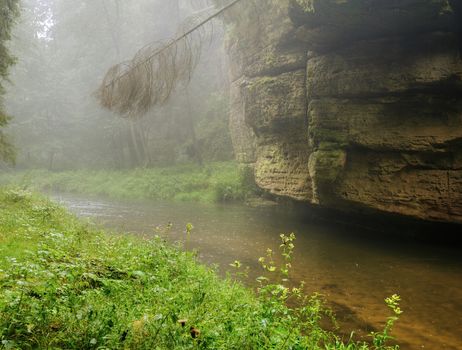 Small River flowing through a green forest and rock in rain and fog