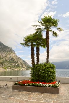 View of Lake Resia in northern Italy, in the Trentino-Alto Adige region