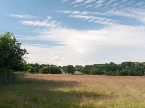 a farm field on a sunny day empty and peaceful; Suffolk; UK
