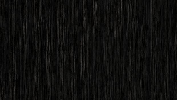 Black wood texture. background old panels. wooden texture