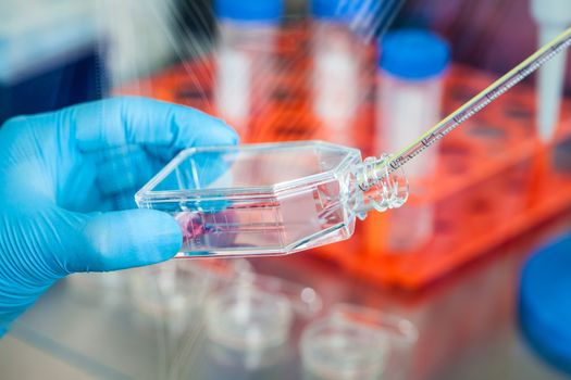 Scientist working with a cell culture flask under sterile hood at laboratory