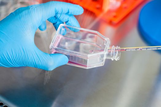 Scientist working with a cell culture flask under sterile hood at laboratory