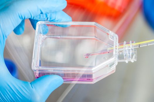 Scientist working with a cell culture flask under sterile hood at laboratory