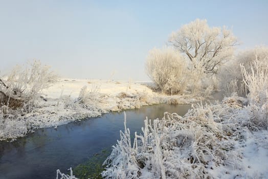 Frosty winter trees on countryside river