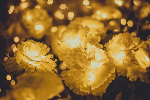 Yellow flower and light yellow bokeh