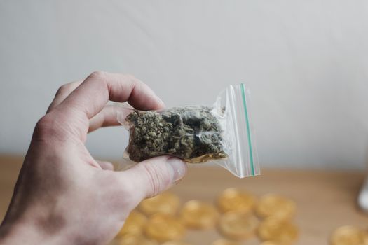 Green dry marijuana in man hand on the blurry background. Weed concept.