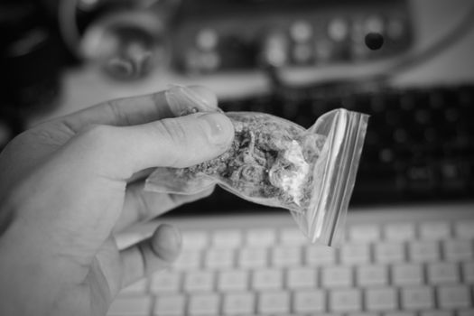 Green dry marijuana in man hand on the blurry background. Weed concept.