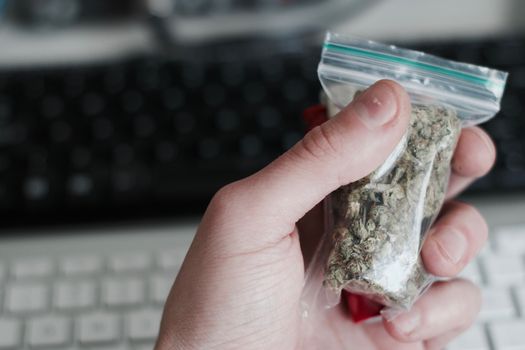 Green dry marijuana in man hand on the blurry background. Weed concept.