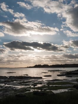 beautiful sunset over harbour coast sea bay clouds silhouette of birds landscape; essex; england; uk