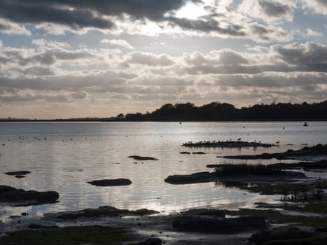 beautiful sunset over harbour coast sea bay clouds silhouette of birds landscape; essex; england; uk