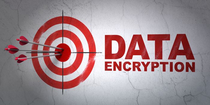 Success privacy concept: arrows hitting the center of target, Red Data Encryption on wall background, 3D rendering