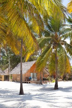 Bungalow on perfect white sandy beach with palm trees, Paje, Zanzibar, Tanzania