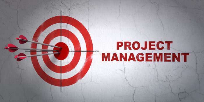 Success business concept: arrows hitting the center of target, Red Project Management on wall background, 3D rendering