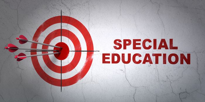 Success Studying concept: arrows hitting the center of target, Red Special Education on wall background, 3D rendering