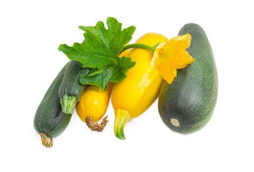 Several fresh dark green zucchini different sizes and yellow vegetable marrows with leaf and flower on a light background
