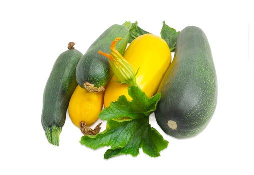 Pile of the fresh dark green zucchini different sizes and yellow vegetable marrows with leaves and flower on a light background
