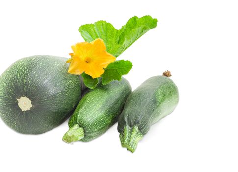 Three fresh dark green zucchini with leaf and flower on a light background
