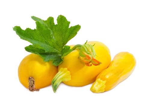 Three fresh yellow vegetable marrows with leaf and flower on a light background
