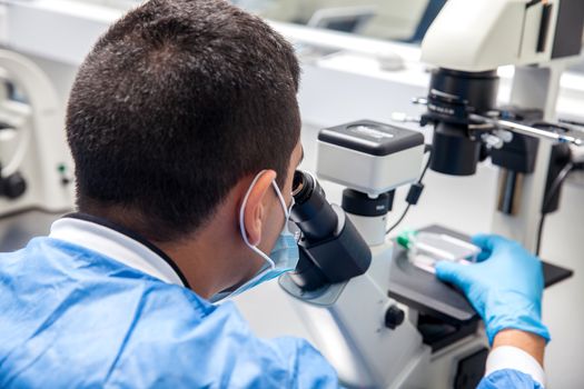 Young male scientist looking at cell culture under the microscope