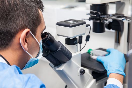 Young male scientist looking at cell culture under the microscope