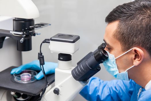 Young male scientist looking at cell culture under the microscope