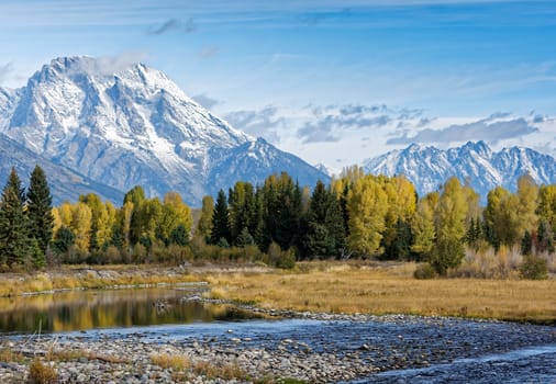 Autumnal Colours in the Grand Teton National Park