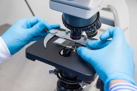 Young male scientist looking at slides under the microscope