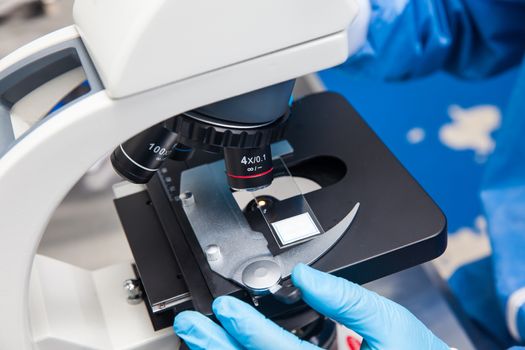 Young male scientist looking at slides under the microscope