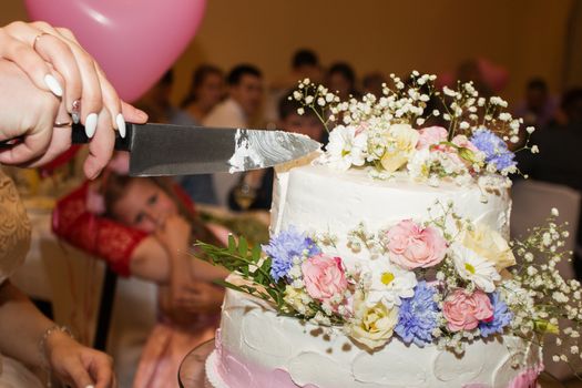 elegant pretty young bride and groom cut the wedding cake.