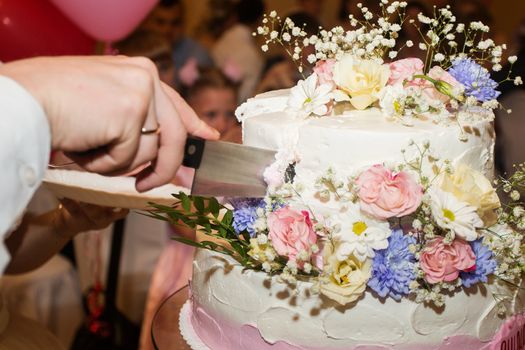 elegant pretty young bride and groom cut the wedding cake.