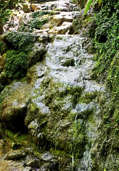 Water draining from the steep slope of the mossy mountain.