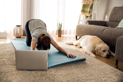 Shot of a woman doing exercise at home with her dog