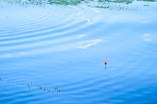 Fisherman's red float from a fishing rod on blue water.