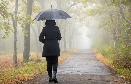 Woman with black umbrella and foggy forest