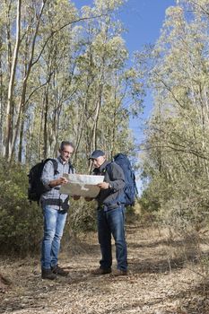 Hikers are stuck in the woods using the map to navigate.