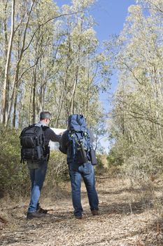 Hikers are stuck in the woods using the map to navigate.