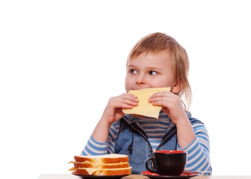 Girl eating cheese sandwich isolated on white