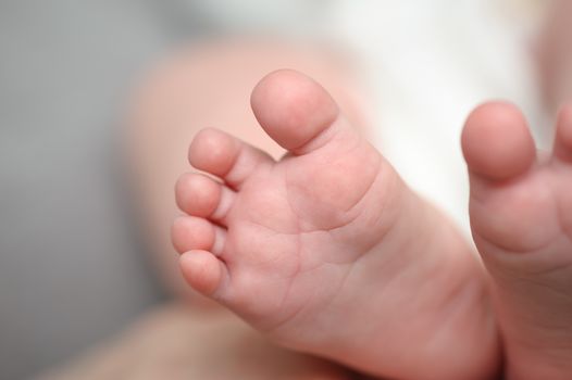 Mothers hands holding little newborn baby feet, macro closeup, selective focus