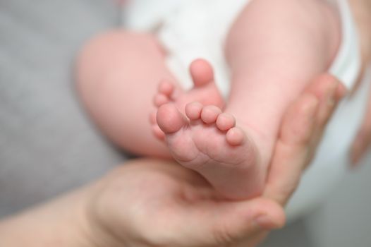 Mothers hands holding little newborn baby feet, macro closeup, selective focus