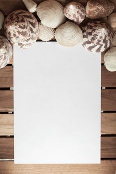 White blank paper with seashells and grunge wooden planks