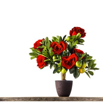 Heart shaped red roses on tree isolated on white background