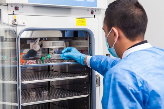 Young laboratory researcher introducing a cell culture flask into an incubator