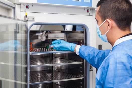 Young laboratory researcher introducing a petri dish into an incubator