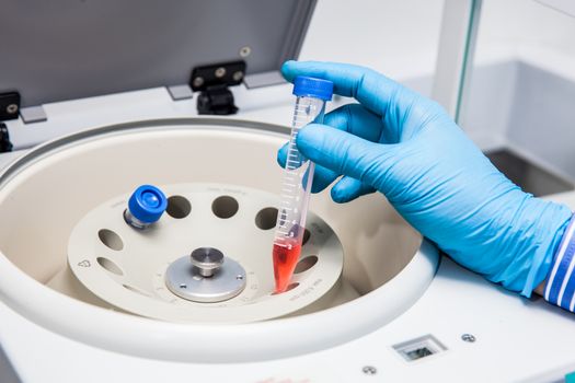 Scientist inserting a tube in a laboratory centrifuge