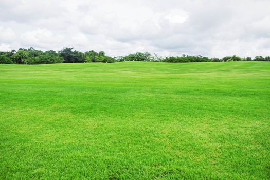 Garden lawn in park with the white sky.