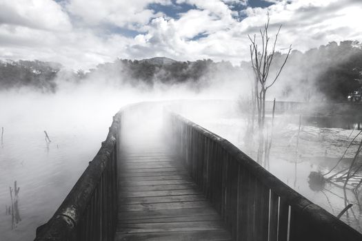 Bridge on a misty lake in Rotorua volcanic area, New Zealand