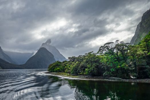 Milford Sound, fiordland national park in New Zealand