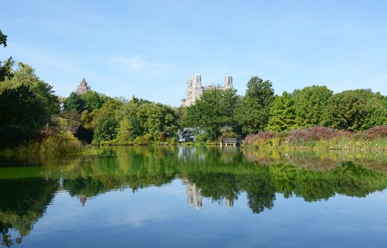 Turtle Pond in Central Park, surrounded by trees and lush marginal plants reflected in the water. The Beresford Hotel is visible above the treetops.